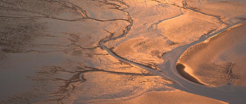 Aerial image of tidal flat creek and mudflats in red sunlight. © Martin Stock. Aerial image of tidal flat creek and mudflats in red sunlight. © Martin Stock.