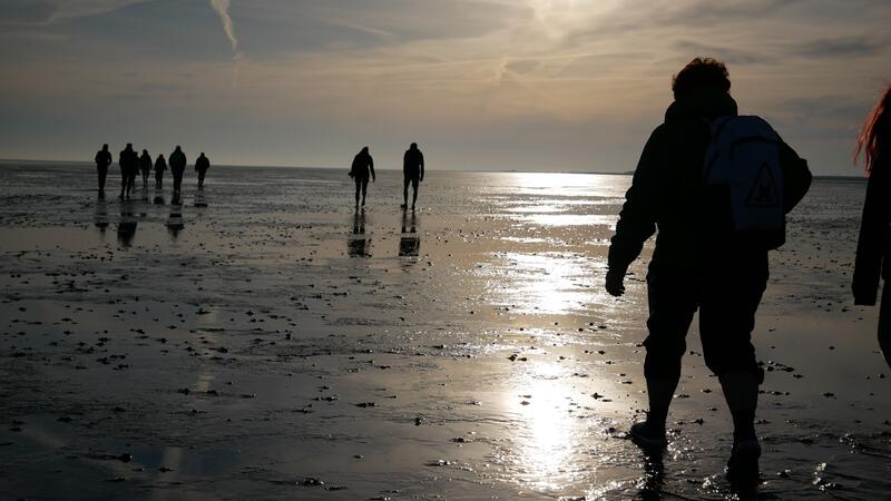 Mudflat walk in rising sun. CWSS/Bostelmann.