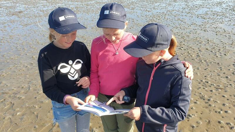 Three children with UNESCO hats standing on a mudflat look at sampling guidelines. © Silke Ahlborn/ LKN.SH. Three children with UNESCO hats standing on a mudflat look at sampling guidelines. © Silke Ahlborn/ LKN.SH.