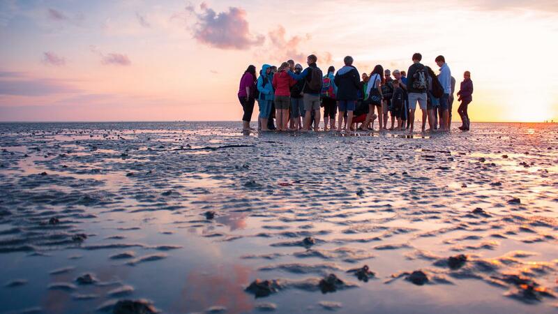 Guided mudflat tour at sunset. Adam Schnabler.