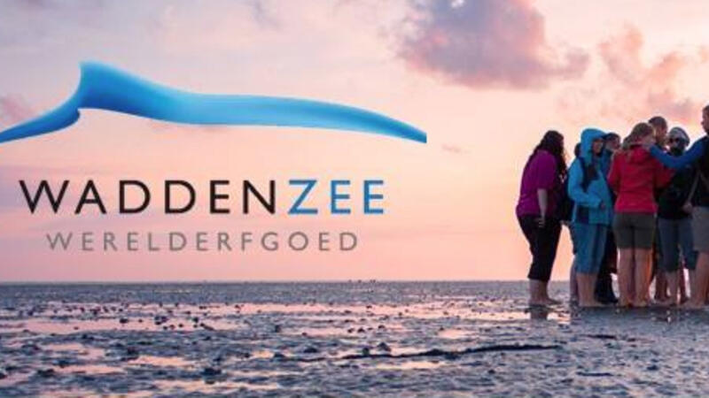 banner nieuwsbrief