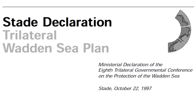 Cut-out of the cover image of the 1997 Stade Declaration publication.