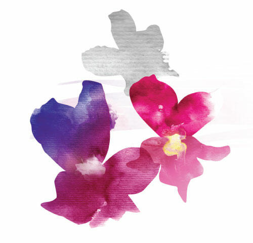 Watercolour-style graphic of flower pansies. © CWSS/ Creative Concern